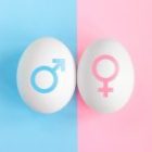 Sexagem Fetal em Porto Velho – Descubra o Sexo do Bebê no Ceaclin Laboratórios.