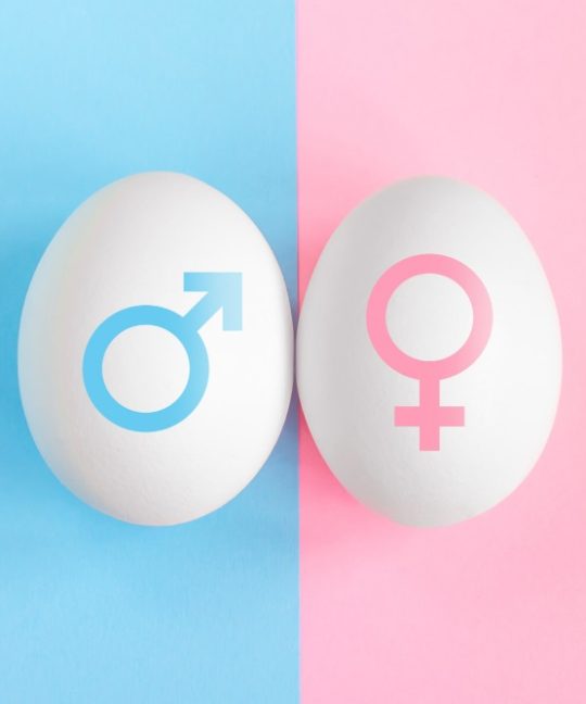 Sexagem Fetal em Porto Velho – Descubra o Sexo do Bebê no Ceaclin Laboratórios.